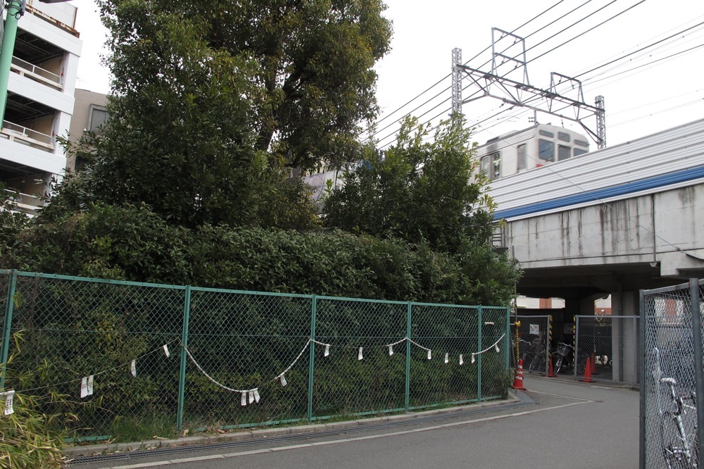 生垣部分が砧線軌道敷跡、奥の高架上を通るのは田園都市線／2013年3月3日 二子玉川