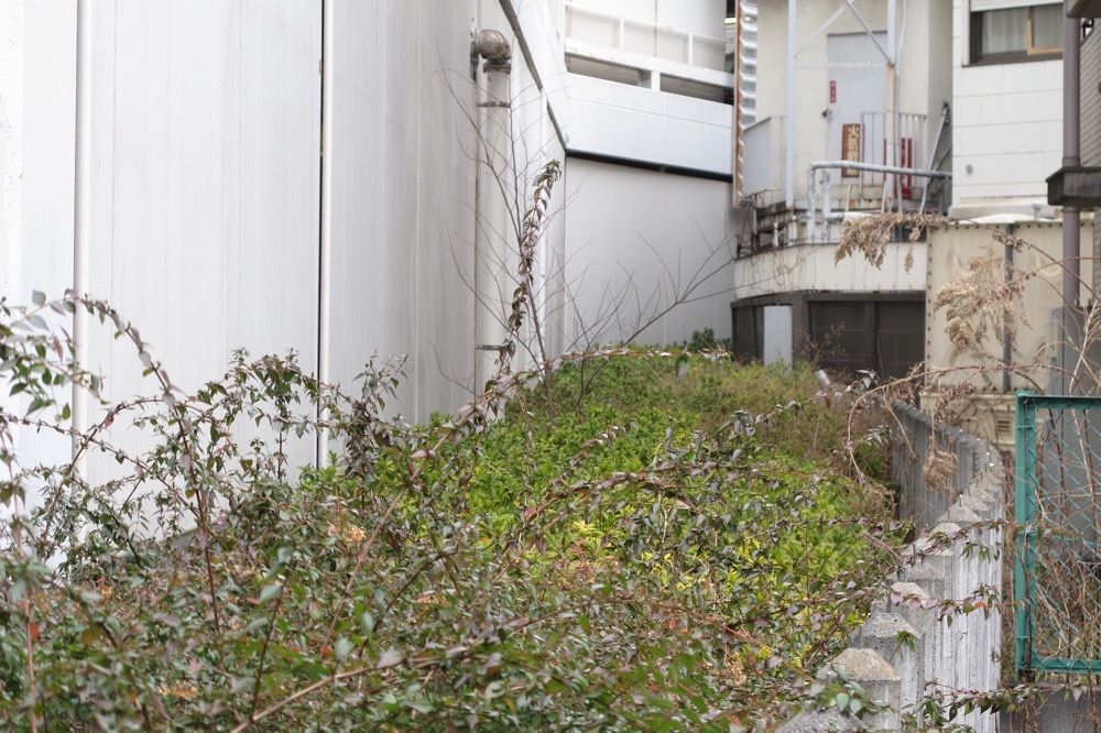 砧線軌道敷跡に建てられた玉川高島屋S.C.駐車場の敷地境界には鉄道柵が再設置／2013年3月3日 二子玉川