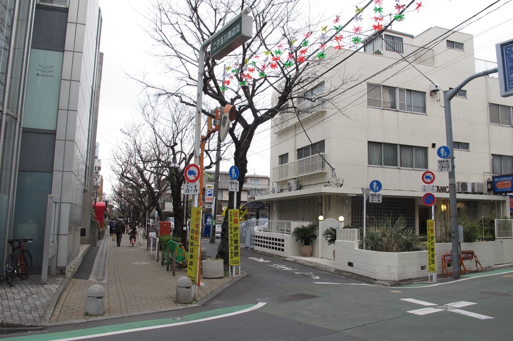 砧線中耕地駅前の中耕地1号踏切道跡／2013年3月3日 中耕地駅跡
