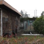 玉06系統が発着する砧本村停留所／2003年3月28日 砧本村停留所