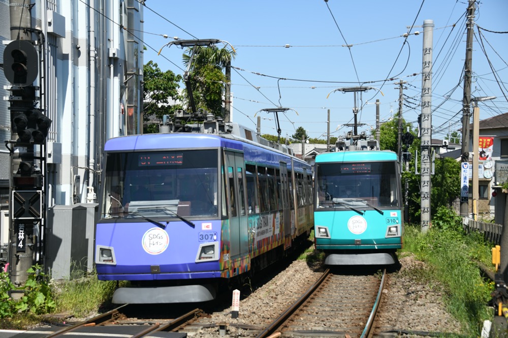 307編成・310編成のSDGsトレイン同士の並び／2023年4月27日 若林〜松陰神社前間