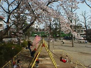 松原駅付近の主な名所・旧跡