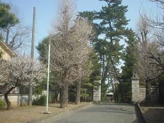 宮の坂駅付近の主な名所・旧跡