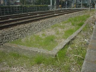 松原駅付近の主な名所・旧跡