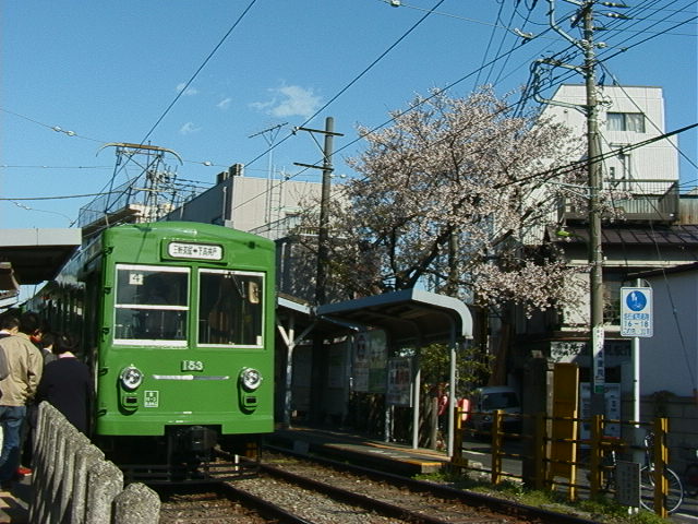 桜満開の松陰神社前駅に停車するデハ153号／1999年4月8日 松陰神社前駅