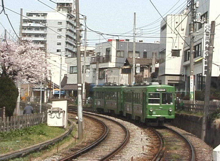 満開の桜を横目にカーブを行く154-153編成／2000年4月8日 下高井戸〜松原間