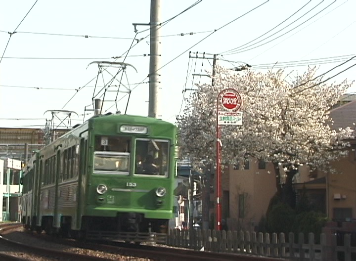 遅咲きの桜を横目に行く154-153編成／2000年4月12日 山下〜松原間