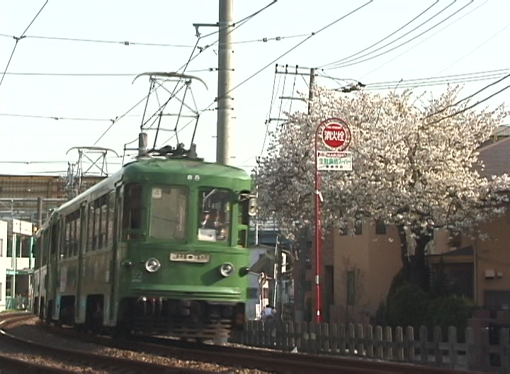 遅咲きの桜を横目に行く86-85編成／2000年4月12日 山下〜松原間