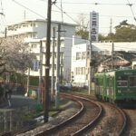 遅咲きの桜を横目に行く154-153編成／2000年4月12日 山下〜松原間