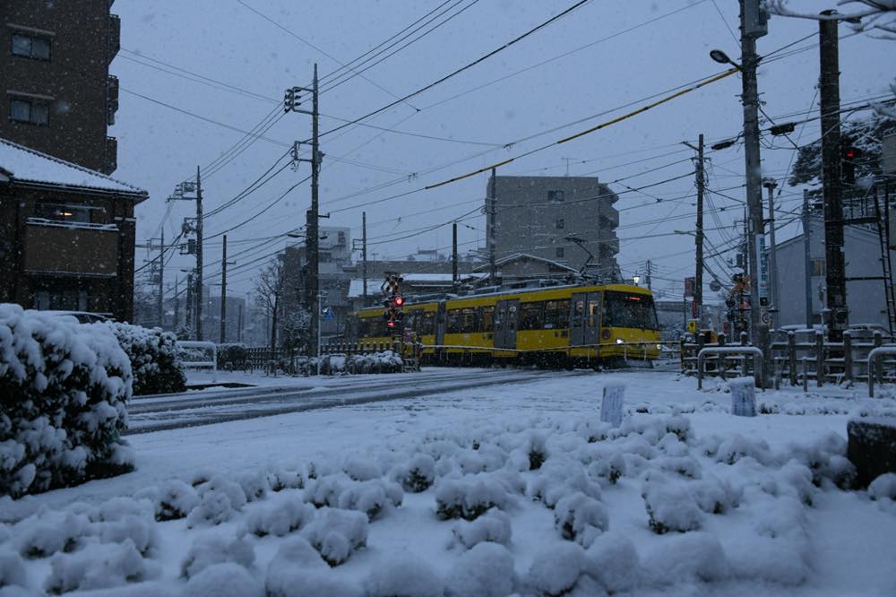 積雪の中を行く306編成／2022年1月6日 松原〜山下間