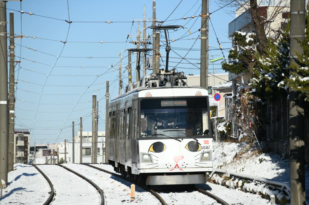 雪景色を行く308編成の招き猫電車／2022年1月7日 松原〜山下間