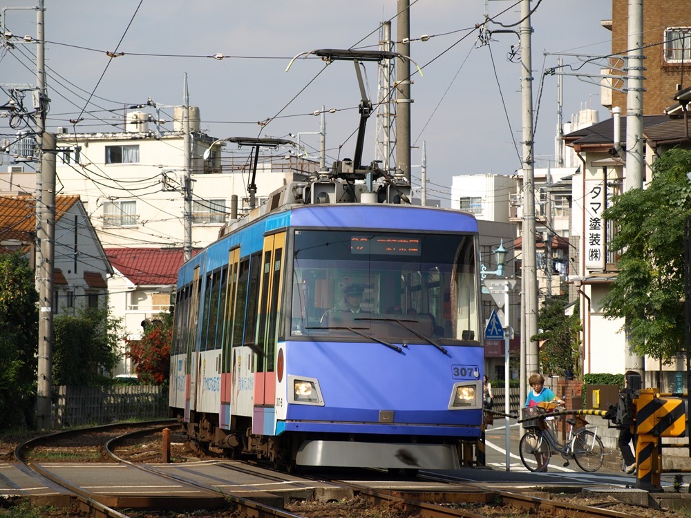 六所神社前駅跡を行く307編成「食事バランスガイド」／2007年11月5日 松原〜山下間