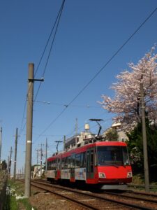 桜の横をいく308編成「せたまる」／2008年4月9日 松原〜下高井戸間