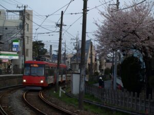 満開の桜の下を行く308編成「せたまる」／2008年4月3日 松原〜山下間