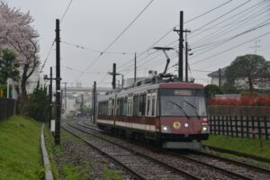 桜の横を行く307編成「住友不動産販売」／2017年4月12日 山下〜松原間