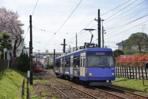 桜の横を行く305編成「旧車体色ラッピング電車」／2017年4月11日 山下〜松原間