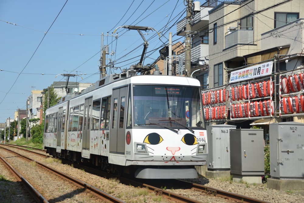 沖縄祭りの提灯と308編成「玉電110周年記念 幸せの招き猫電車」／2018年9月19日 山下〜宮の坂間