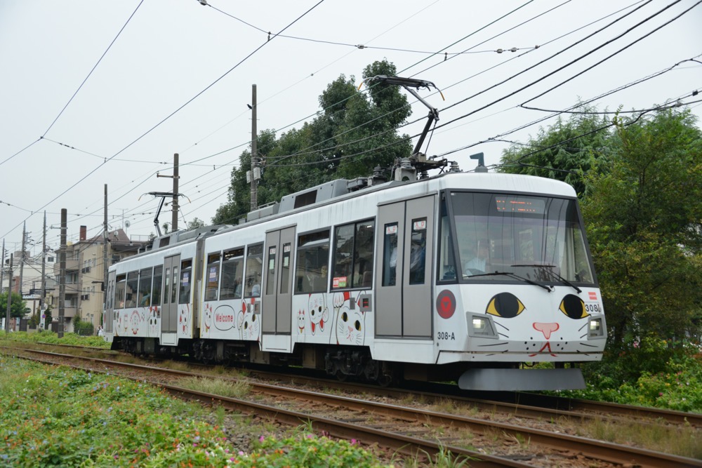 運行最終日の308編成「玉電110周年記念 幸せの招き猫電車」／2018年10月5日 松原〜下高井戸間