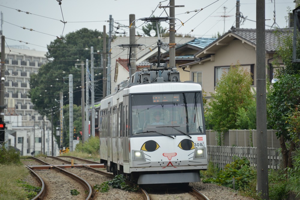 308編成「玉電110周年記念 幸福の招き猫電車」の最終営業列車となったA9運行の上町行き／2018年10月5日 若林〜松陰神社前間