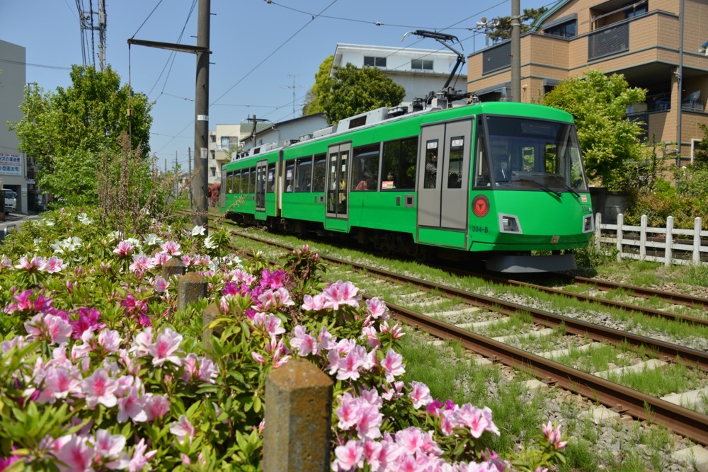 花いっぱいの沿線を行く304編成／2019年4月20日 松原〜山下間