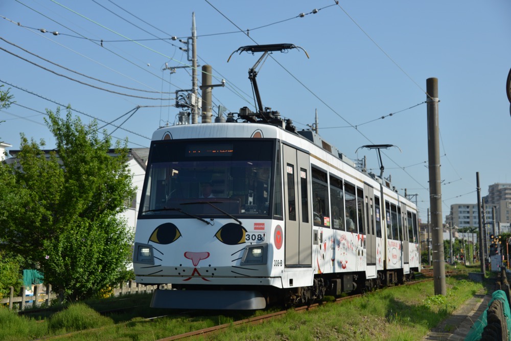 松原へ向けて走る308編成「幸福の招き猫電車」／2019年6月13日 下高井戸〜松原間