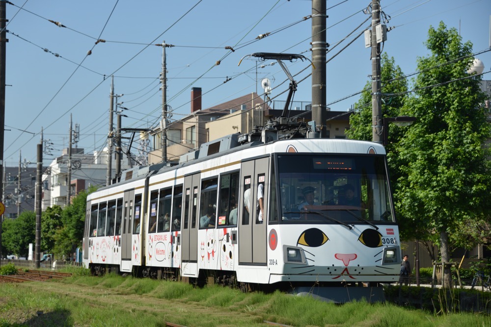 赤松公園の横を行く308編成「幸福の招き猫電車」／2019年6月13日 松原〜下高井戸間