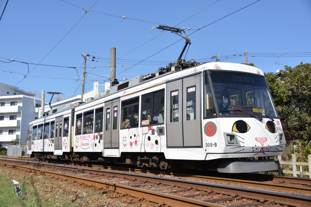 青空の下を行く308編成「幸福の招き猫電車」／2020年3月3日 松原〜山下間