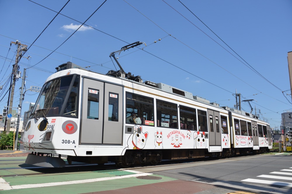 若林踏切を渡る308編成「幸福の招き猫電車」／2020年9月9日 西太子堂〜若林間