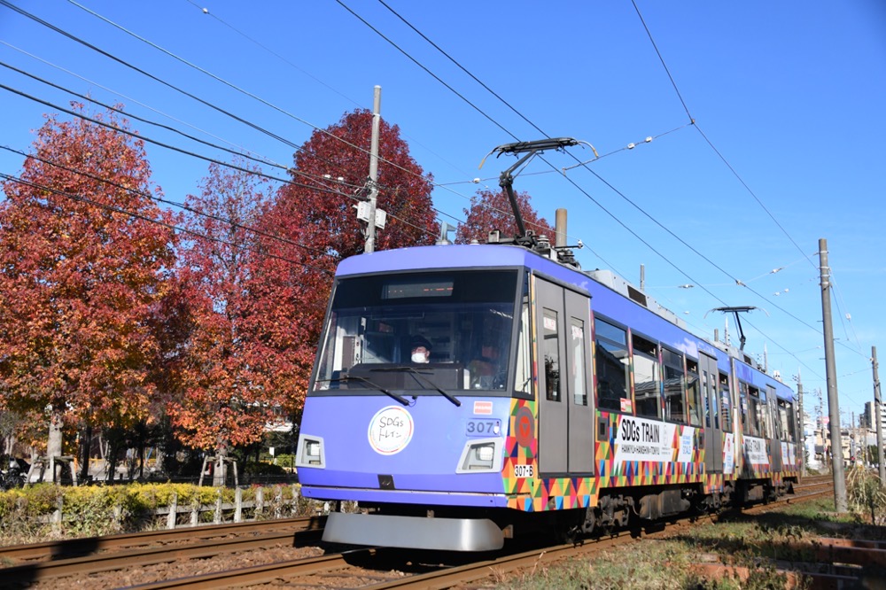 紅葉の赤松公園を背景に走る307編成「SDGsトレイン『美しい時代へ号』」／2020年12月20日 下高井戸〜松原間