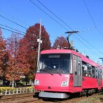 身延山別院前停留場跡を通過する田園都市線8500系／2020年5月11日 用賀〜二子玉川間