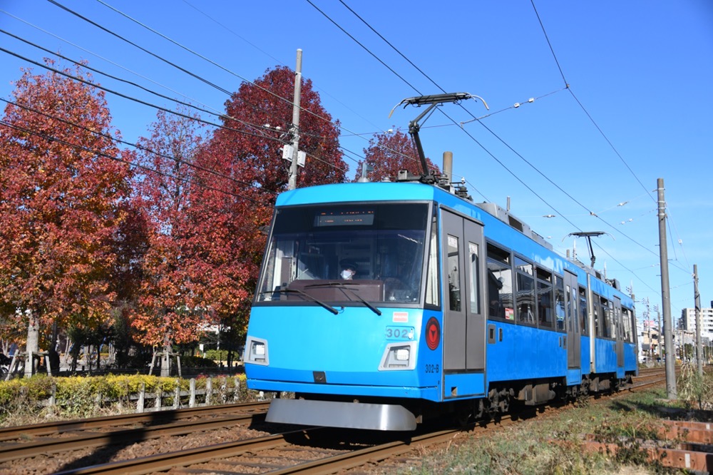 紅葉の赤松公園を背景に走る302編成／2020年12月20日 下高井戸〜松原間