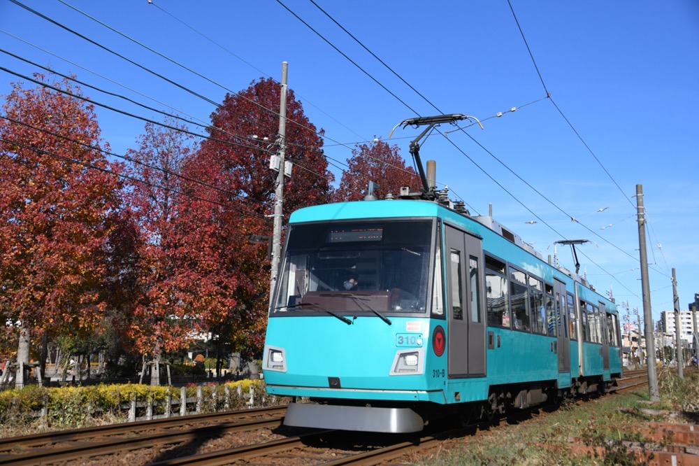 紅葉の赤松公園を背景に走る310編成／2020年12月20日 下高井戸〜松原間