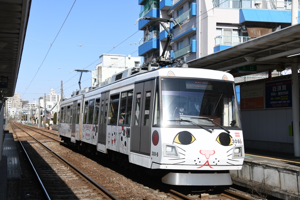 松原駅に停車中の308編成「幸福の招き猫電車」／2021年1月16日 松原駅