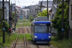 緑の絨毯の上を行く308編成「幸福の招き猫電車」／2021年5月15日 松原〜山下間