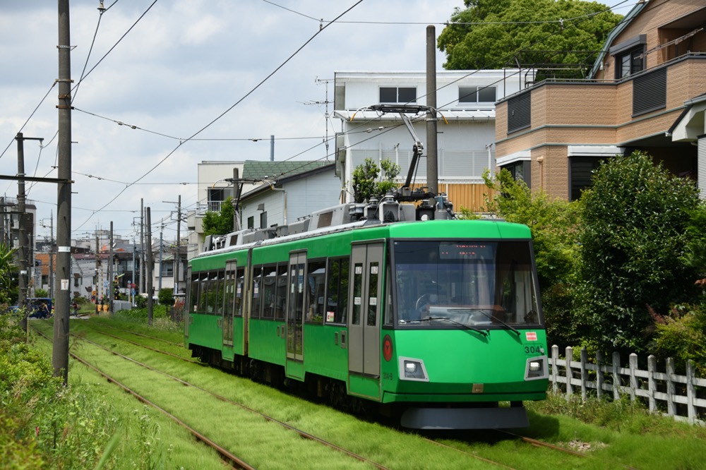 緑の絨毯の上を行く304編成／2021年5月15日 松原〜山下間