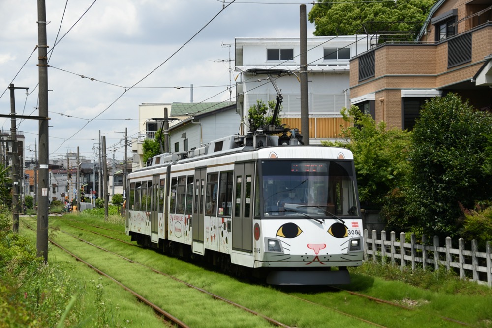 緑の絨毯の上を行く308編成「幸福の招き猫電車」／2021年5月15日 松原〜山下間