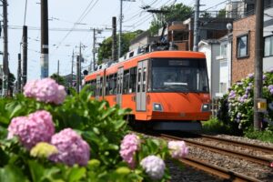 松原駅へ向かう308編成「幸福の招き猫電車」／2022年9月25日 下高井戸〜松原間