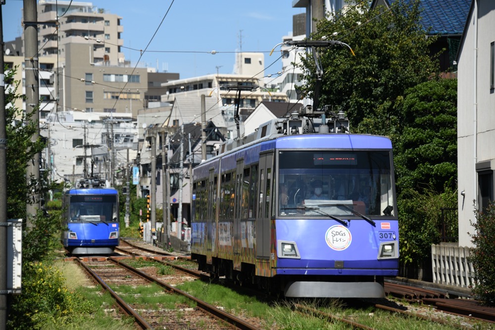 303編成と307編成「SDGsトレイン『美しい時代へ号』」のすれ違い／2022年9月25日 下高井戸〜松原間