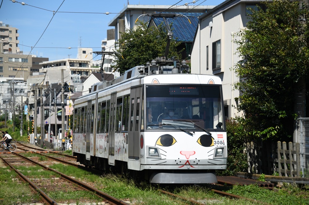 松原駅へ向かう308編成「幸福の招き猫電車」／2022年9月25日 下高井戸〜松原間