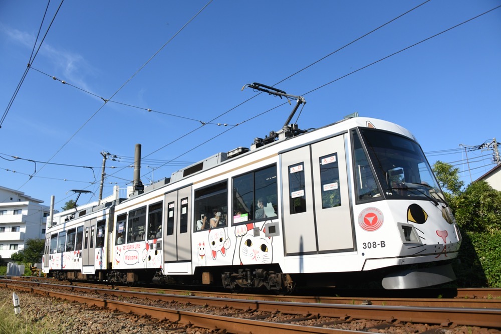 青空の下を行く308編成「幸福の招き猫電車」／2022年10月2日 松原〜山下間