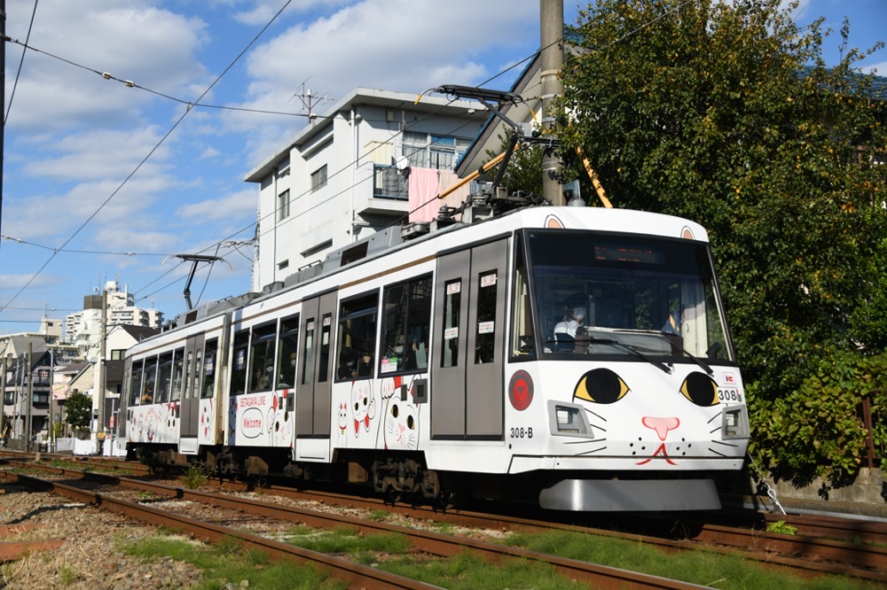 松原へ向かう308編成「幸福の招き猫電車」／2022年10月29日 下高井戸〜松原間