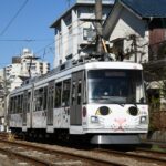 新緑の赤松公園を背景に走る308編成「幸福の招き猫電車」／2023年5月18日 下高井戸〜松原間