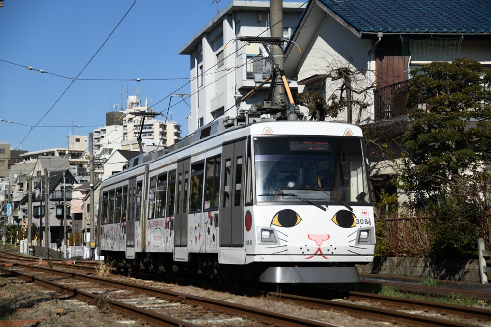 松原へ向かう308編成「幸福の招き猫電車」／2023年1月29日 下高井戸〜松原間