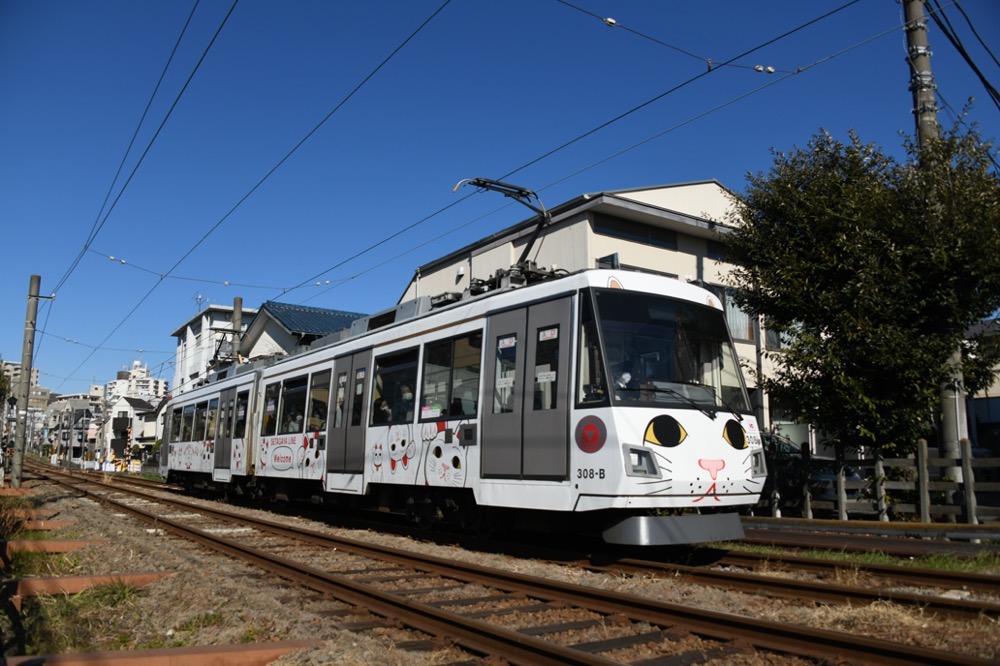 青空の下を行く308編成「幸福の招き猫電車」／2023年1月29日 下高井戸〜松原間