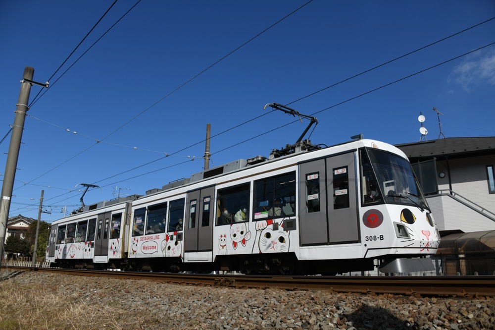 青空の下を行く308編成「幸福の招き猫電車」／2023年1月29日 松原〜山下間