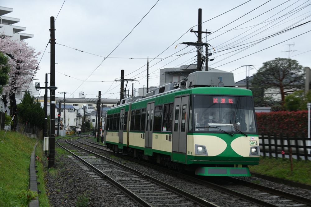 桜の横を行く試運転中の301編成「『玉電カラー』電車」／2023年3月25日 山下〜松原間