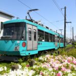 初の営業運転に就く310編成「SDGsトレイン美しい時代へ号」／2023年4月25日 山下〜松原間