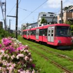 夏空の下を行く305編成／2023年7月2日 松原〜山下間