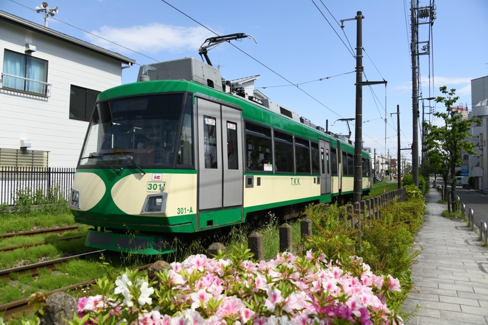 花いっぱいの沿線を行く301編成「『玉電カラー』電車」／2023年4月23日 山下〜松原間