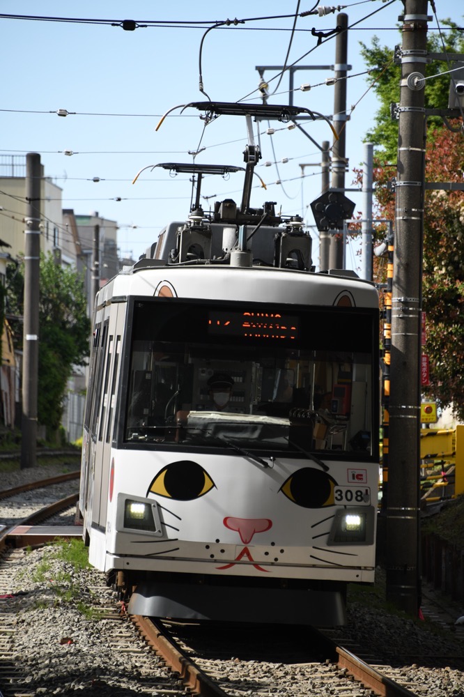 山下駅に進入する308編成「幸福の招き猫電車」／2023年4月29日 宮の坂〜山下間